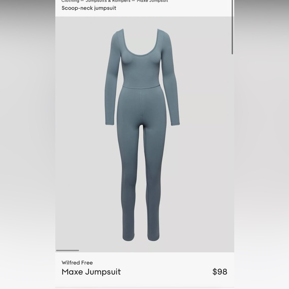 Aritzia Pants - Aritzia Jumpsuit